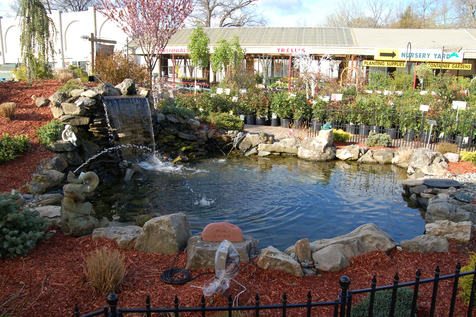 Water Gardening at Fairfield Garden Center